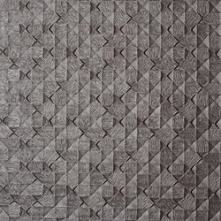 DS010-05
