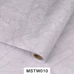 MSTW010