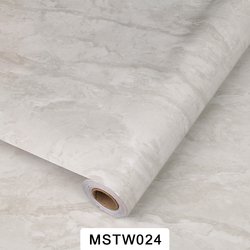 MSTW024