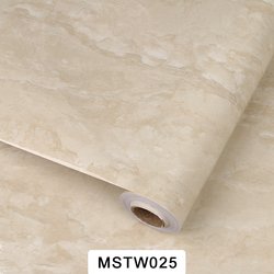 MSTW025