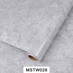 MSTW028