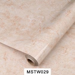 MSTW029