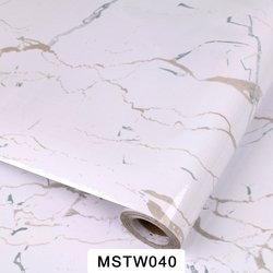 MSTW040