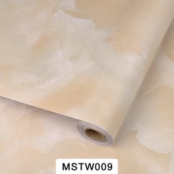 MSTW009