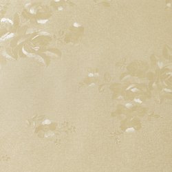 AO-0018-1