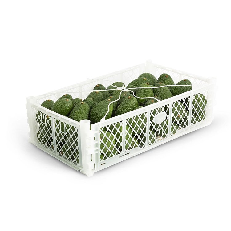 Plastic Crate Collapsible Folding Avocado Crate Plastic Foldable Basket for Furits