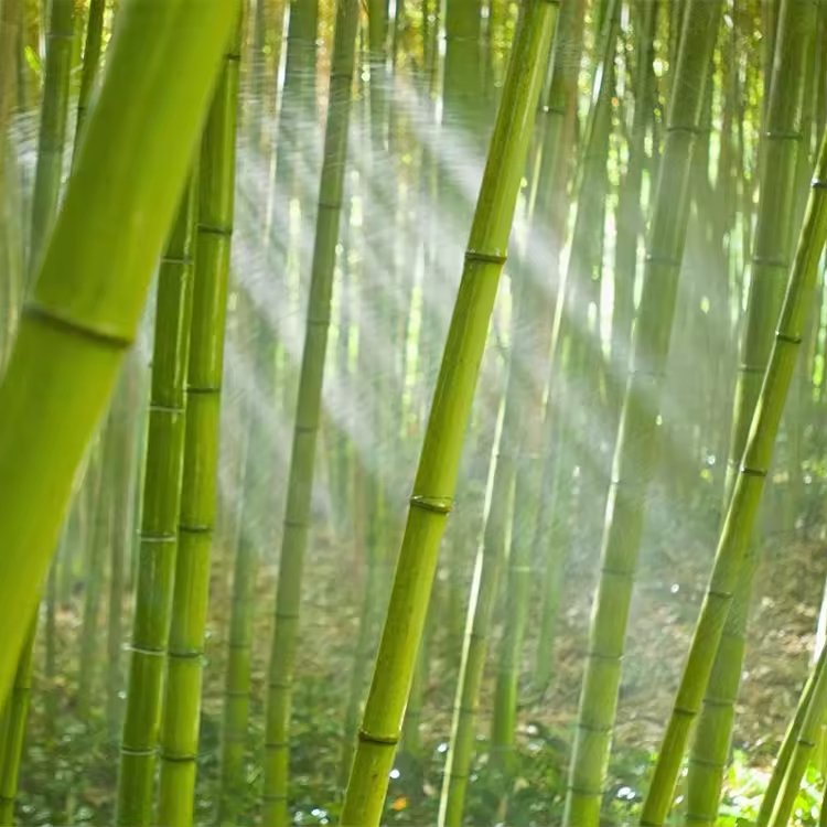 Bamboo and wood bread box with drawer custom environmentally friendly natural materials