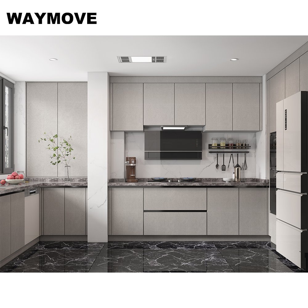 WAYMOVE Modern Kitchen Tap with Pull Sprayer Pull-Out Kitchen Mixer Appliance with Sink Accessories