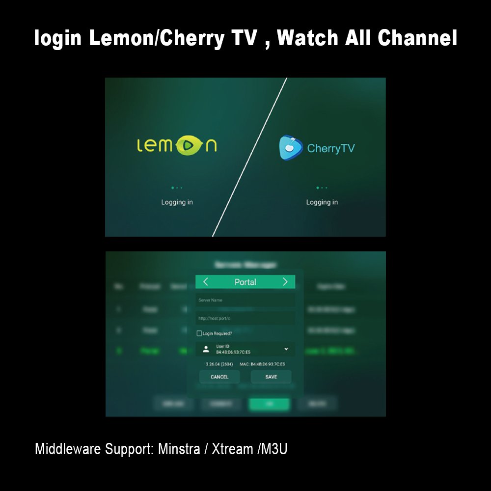 Topleo OEM TV Box Home 4GB 32GB Dual Wifi 4K Video player Set Top Box q8 android 11 smart box tv android