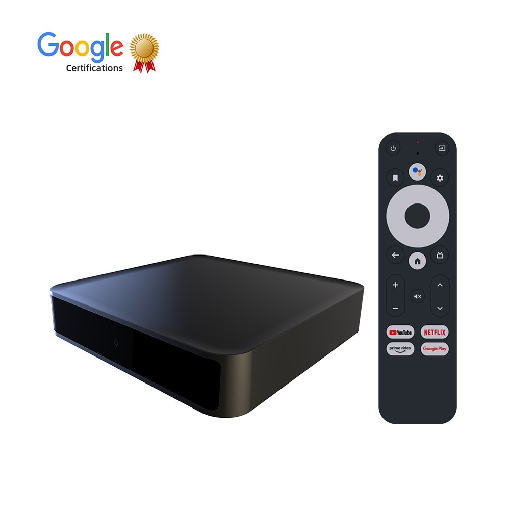 High quality Dcolor GD2 Android 12 2.4G/5G WIFI LPDDR3 2GB RAM EMMC 32GB ROM ARM Quad Core Android tv boxwith Amlogic Y4-B