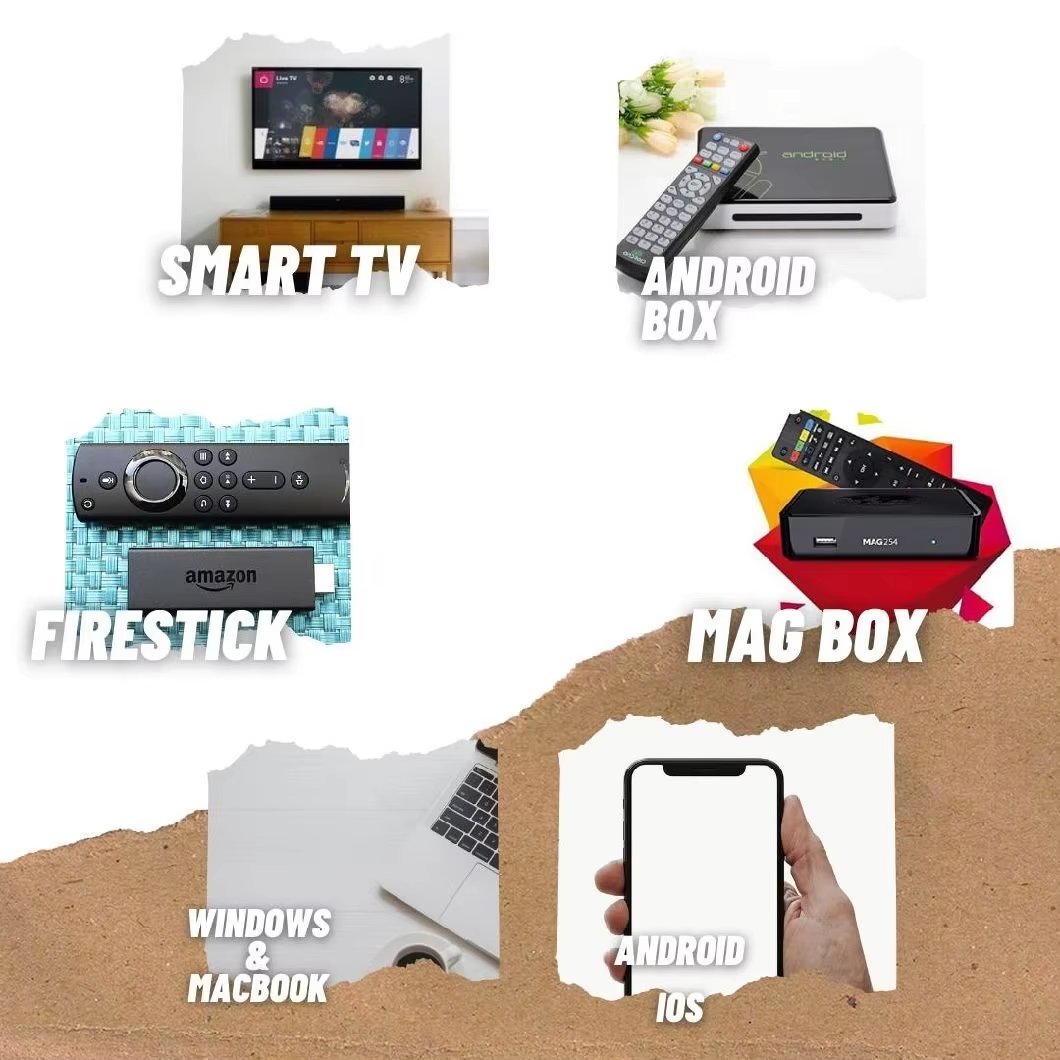 lz 2024 Best Android 10.0 Megaott Dino Set-top Box Applies Smart 4K TV Hot Sale For US/Eu/Africa Free Sample Support Reseller