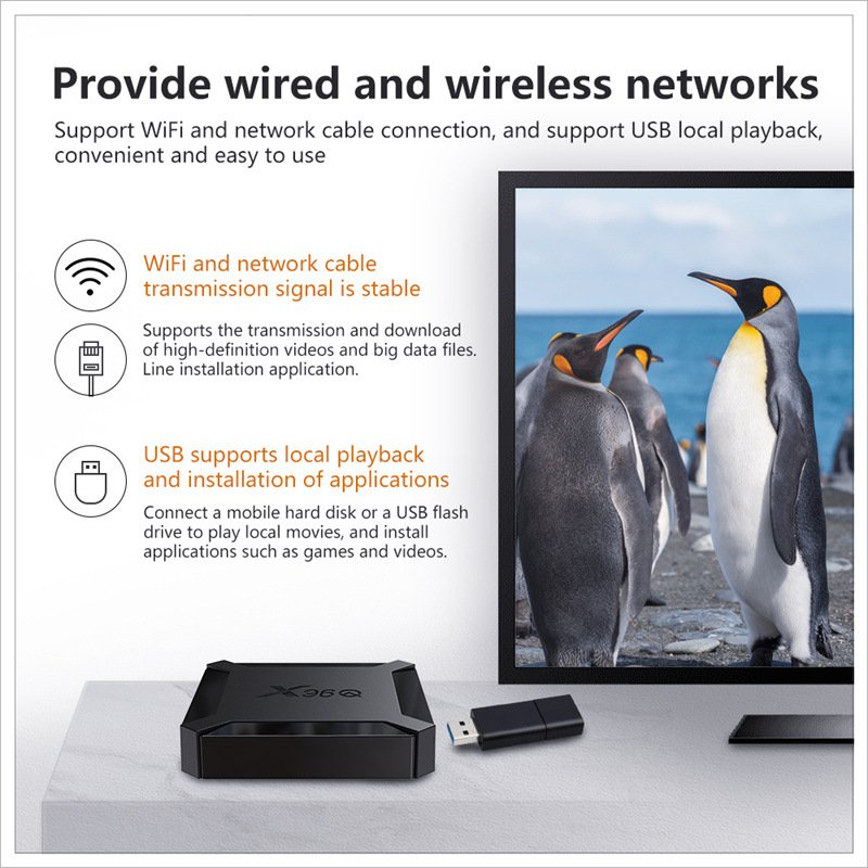 OEM Factory Price X96 Android 10 System IPTV Set Top Box 2GB 16GB H313 Chipset WiFi 5G BT 5.0 4K Video Player 1080P Home Theater