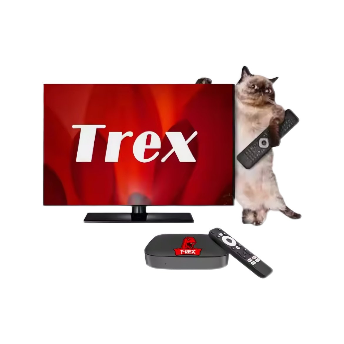 Trex Smart Tv Box 1/3/6/12GB Quad-Core Allwinner H3 Set top 4K TV Box Support WiFi 2.4GHz 4K Android Media Player Full Warranty