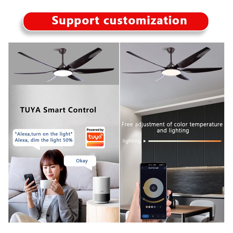 SLYNN Custom Indoor 6 blade Modern 66 Inch LED Light Fan Ceiling Outdoor Ceiling Fan with Light Remote Control Quiet Dimmable