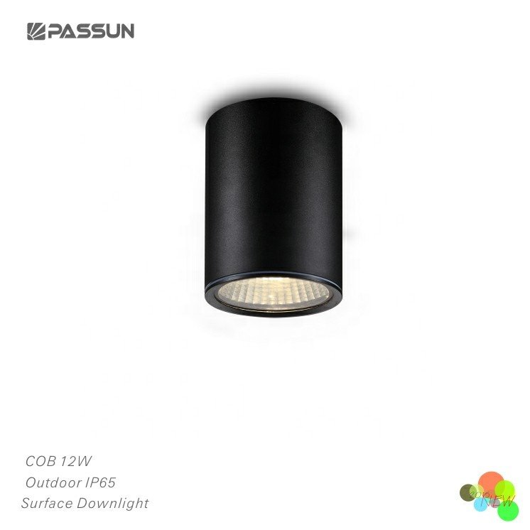 Aluminium painted black cylinder outdoor down light 5w 12w modern surface mounted LED outdoor ceiling light