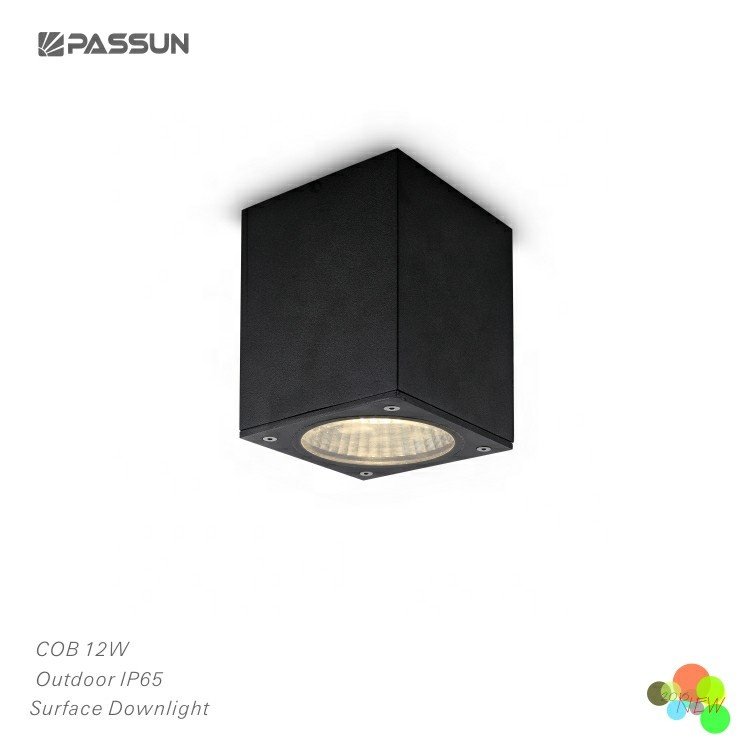 Aluminium painted black cylinder outdoor down light 5w 12w modern surface mounted LED outdoor ceiling light