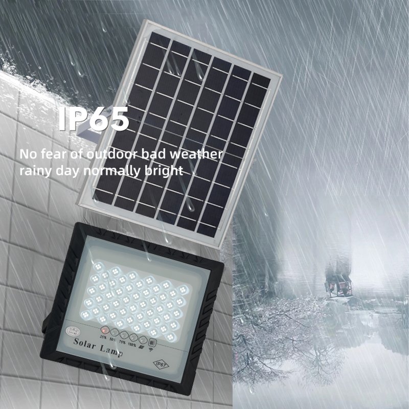 Rechargeable Energy Saving Motion Remote Control Solar energy solar light Outdoor Ceiling Light/Solar Ceiling Light Modern