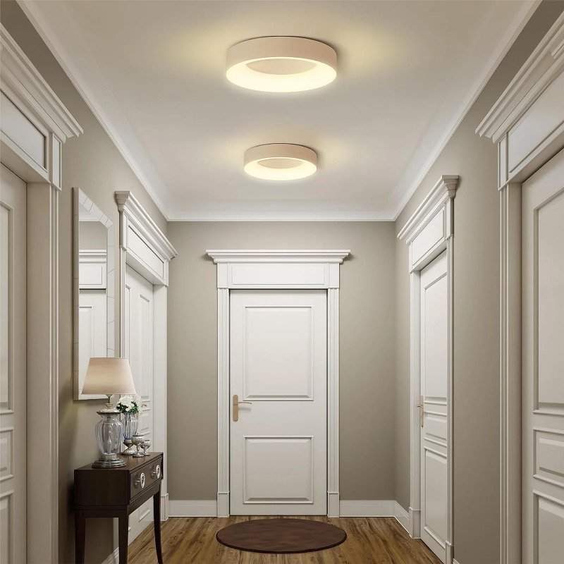 18w 24w Dimmable Surface Mounted Modern Ceiling Decorative Smart RGB Ceiling Light