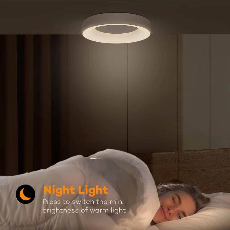 18w 24w Dimmable Surface Mounted Modern Ceiling Decorative Smart RGB Ceiling Light
