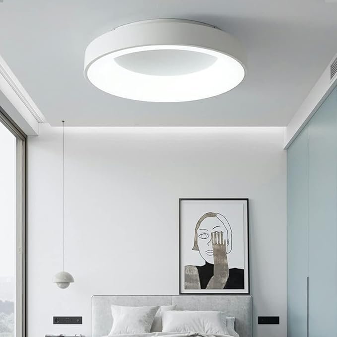 18w 24w Dimmable Surface Mounted Modern Ceiling Decorative Smart RGB Ceiling Light