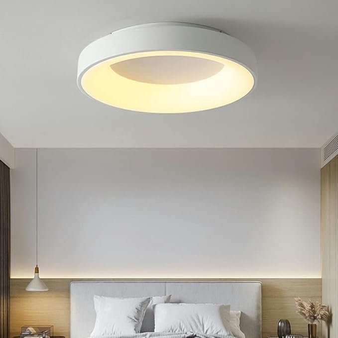 18w 24w Dimmable Surface Mounted Modern Ceiling Decorative Smart RGB Ceiling Light