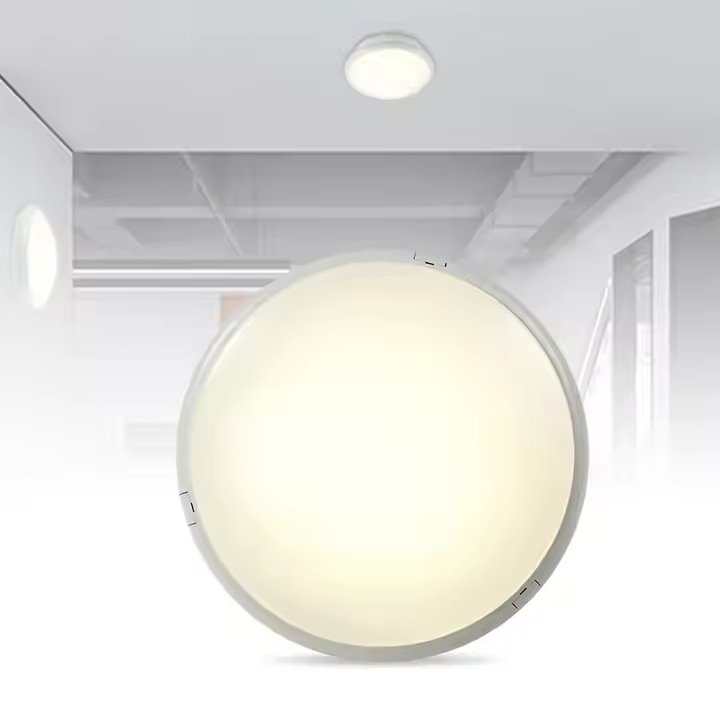 20W IP65 IK10 Waterproof PC home living room surface mounted round indoor and outdoor LED ceiling light