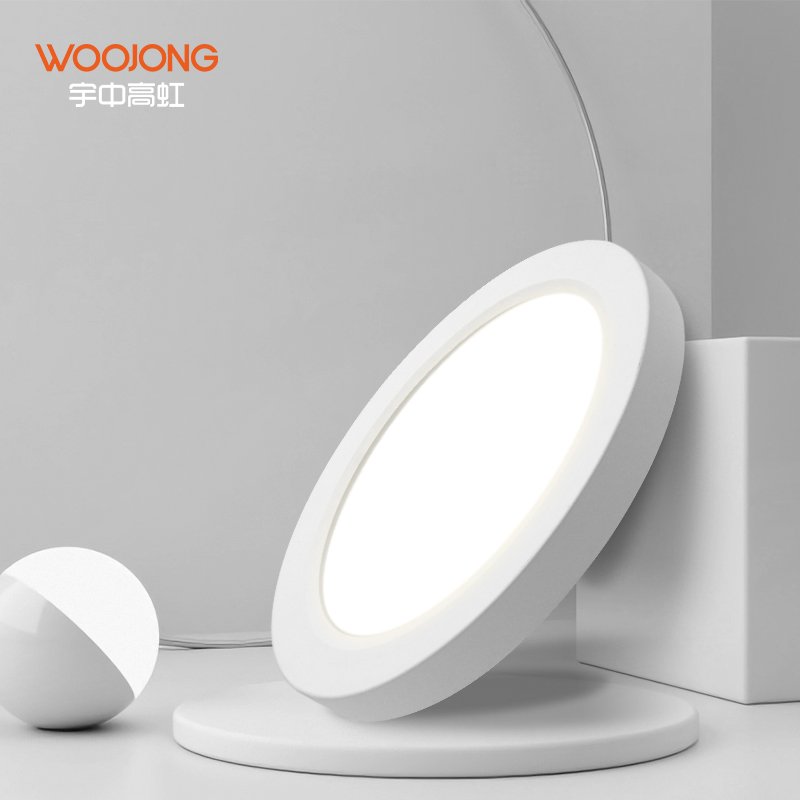 Woojong Modern LED Ceiling Lamp High-Efficacy 18W/24W 5 CCT IP44 UL Certified for Living Room & Outdoor Use