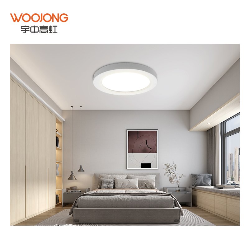 Woojong Modern LED Ceiling Lamp High-Efficacy 18W/24W 5 CCT IP44 UL Certified for Living Room & Outdoor Use