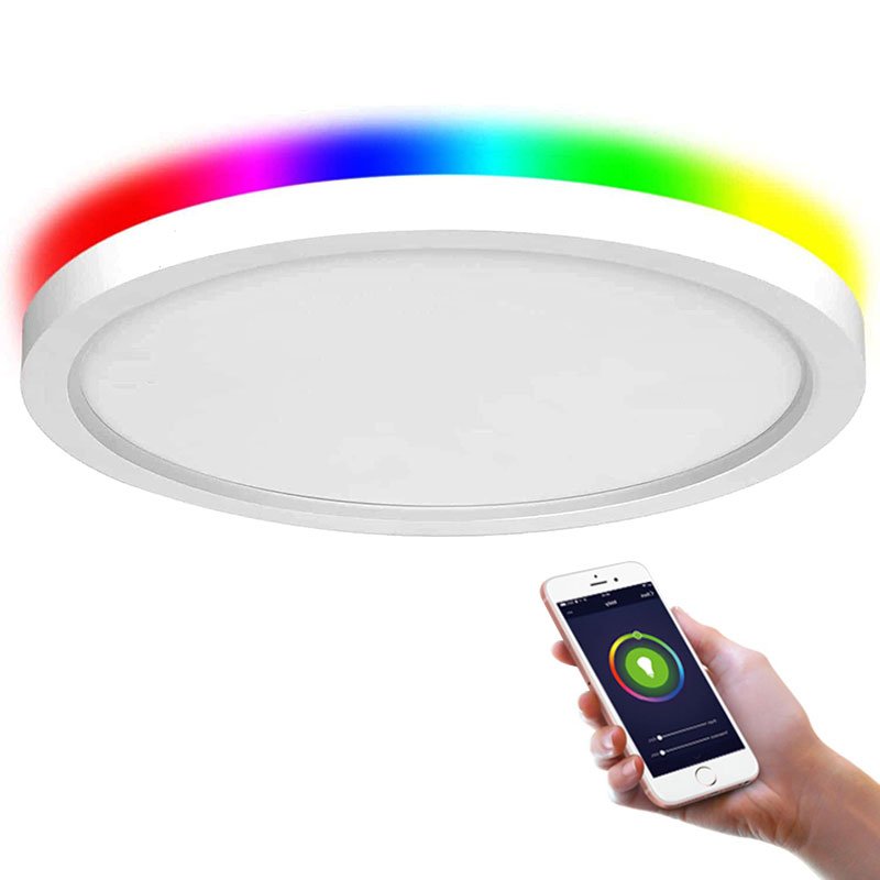 Round Mounted Frameless Led Ceiling Light Tuya Smart Wifi Panel Light Aluminum Plastic RGBW Dimmable App Remote Control 18w 24w