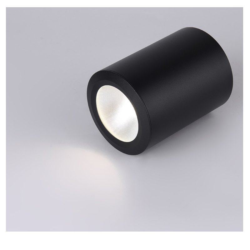 outdoor waterproof lED ceiling lamp round home lights iP65 waterproof surface mounted ceiling down light
