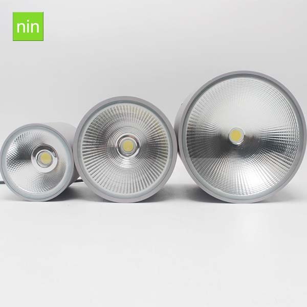 IP65 outdoor surface Ceiling 10w 20w 30w 50w 100w led round outdoor light