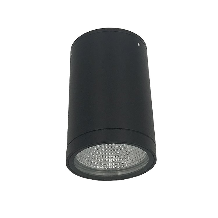 12w outdoor ceiling light waterproof round wall ceiling lamp exterior ceiling spotlight