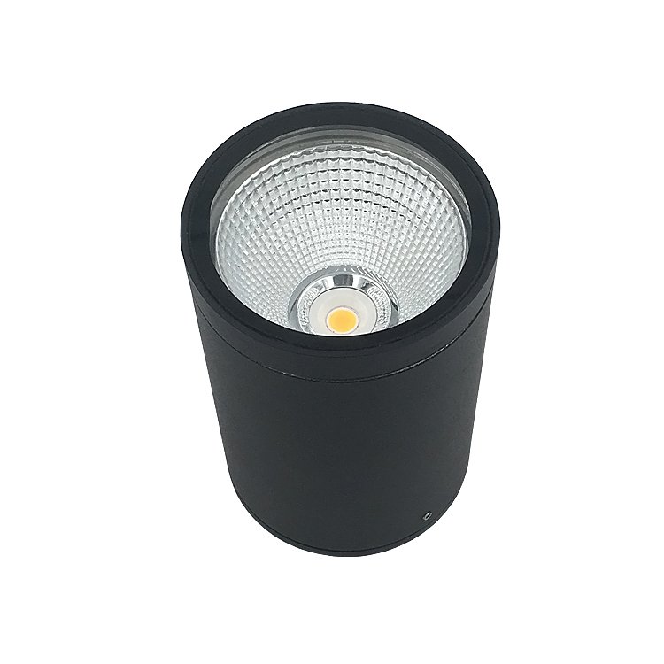 12w outdoor ceiling light waterproof round wall ceiling lamp exterior ceiling spotlight
