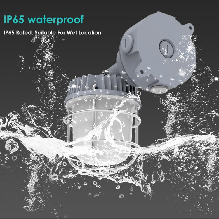 Outdoor Waterproof IP65 Ceiling Mounted LED Jelly Jar Work Light Fixture30W Motion Sensor Working Light