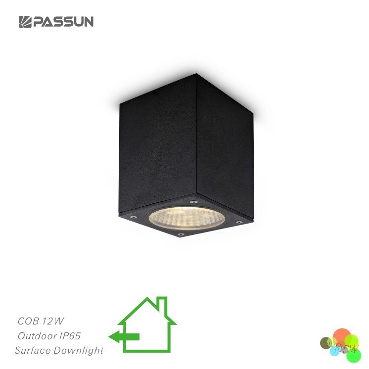 Outdoor&indoor corridor surface mount spot light acrylic waterproof led ceiling light