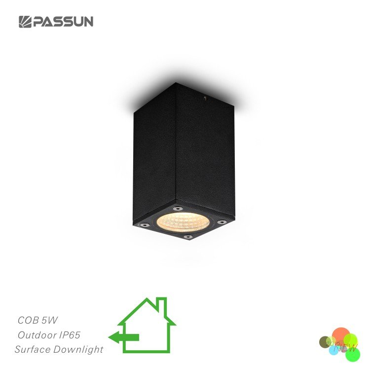 Outdoor&indoor corridor surface mount spot light acrylic waterproof led ceiling light