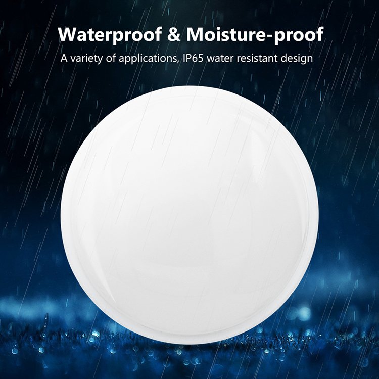 12W Round LED Moisture Proof Ceiling Lamp IP54 Waterproof Bathroom Outdoor Garden Yard Bulkhead light Modern Led wall light
