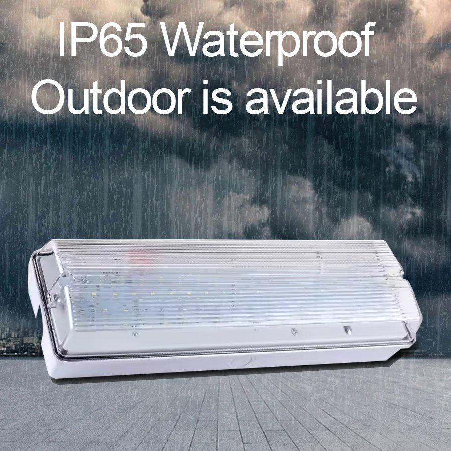 LED Emergency Bulkhead Factory ODM Ceiling Mounted Emergency Bulkhead School IP65 Rechargeable Emergency Bulkhead Light