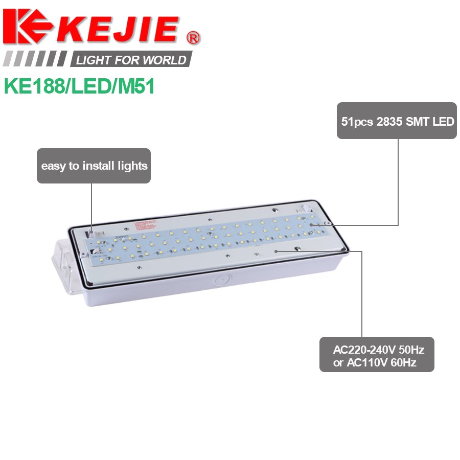 LED Emergency Bulkhead Factory ODM Ceiling Mounted Emergency Bulkhead School IP65 Rechargeable Emergency Bulkhead Light