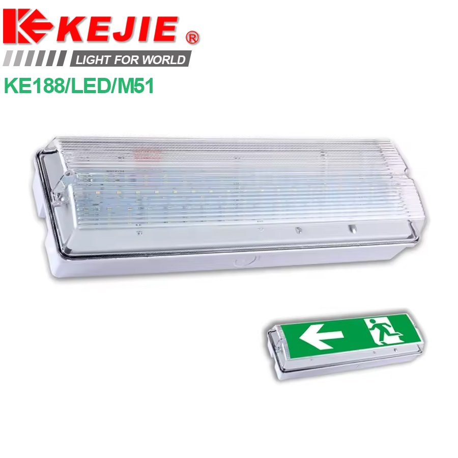 LED Emergency Bulkhead Factory ODM Ceiling Mounted Emergency Bulkhead School IP65 Rechargeable Emergency Bulkhead Light