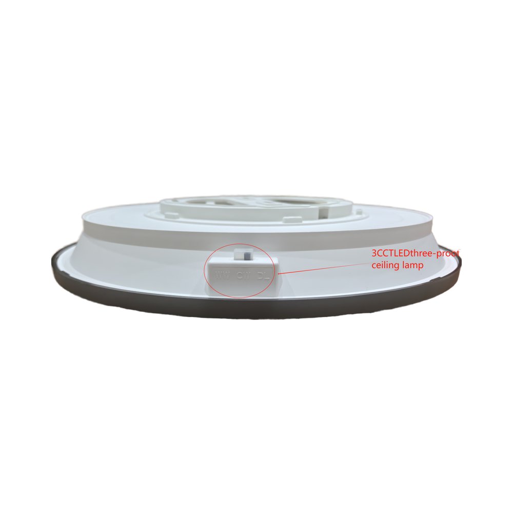 Modern 3CCTIP65 Ceiling Light Surface Mounted LED Panel Lamp for Kitchen Three-Proof Design with IP65 Rating