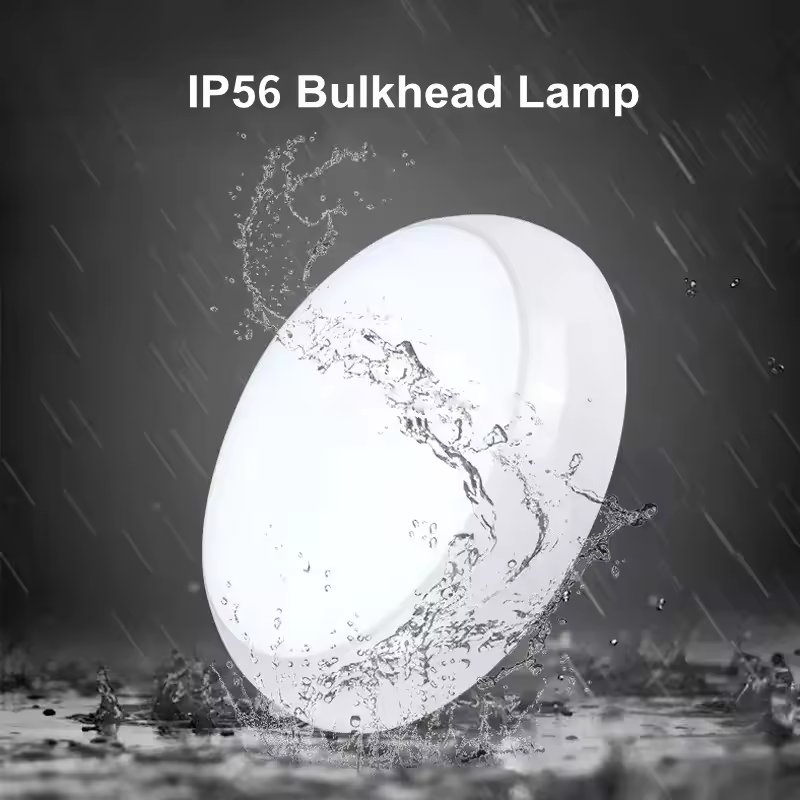 Ceiling Mounted Emergency Light Factory ODM Ceiling Mounted Emergency Light Staircase 12W IP65 Motion Sensor Emergency Light