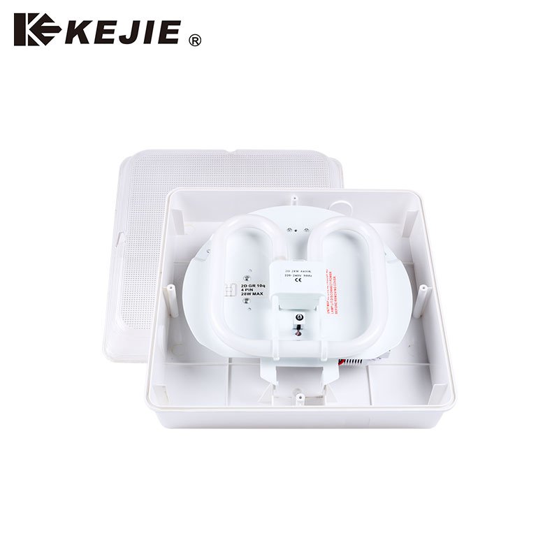 2D Fluorescent Modern Square Ceiling Lighting Surface Mount Light Fixture Ceiling Lamp