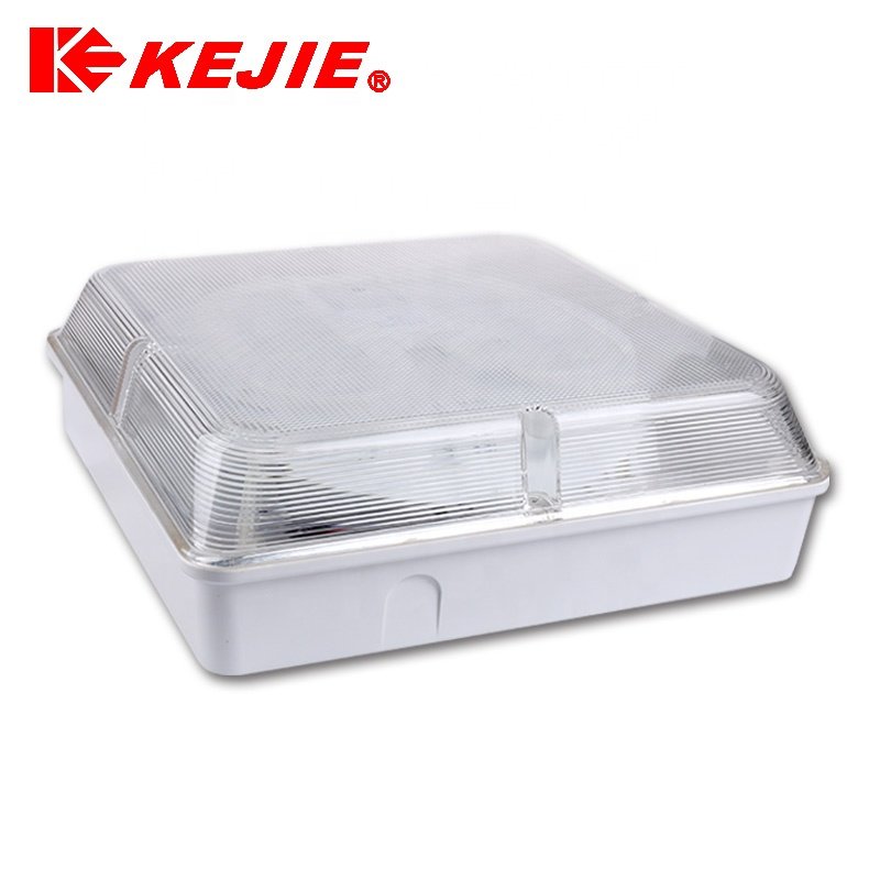 2D Fluorescent Modern Square Ceiling Lighting Surface Mount Light Fixture Ceiling Lamp