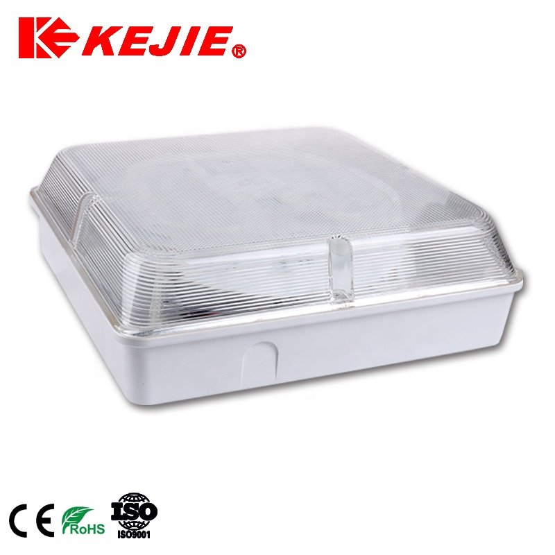 2D Fluorescent Modern Square Ceiling Lighting Surface Mount Light Fixture Ceiling Lamp