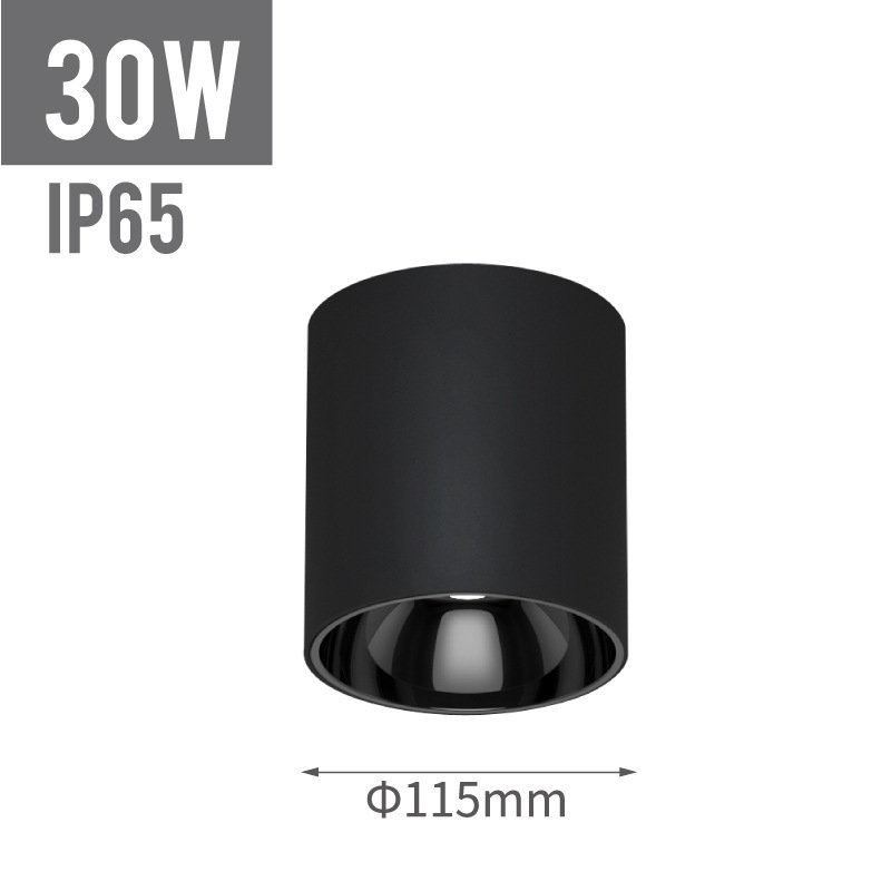 IP65 outdoor ceiling surface mounted light outdoor wall lights surface mounted led light ceiling
