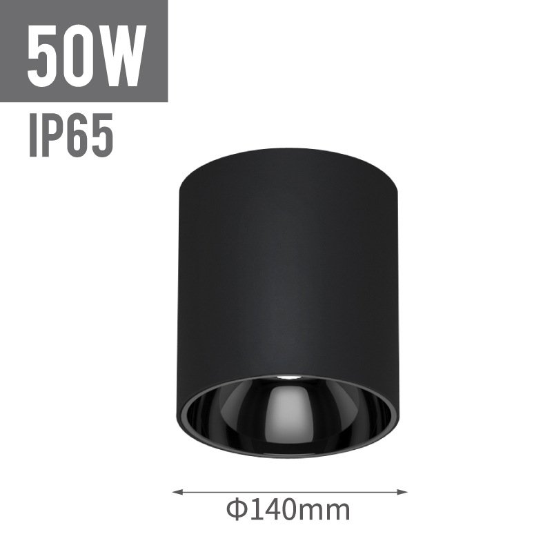 IP65 outdoor ceiling surface mounted light outdoor wall lights surface mounted led light ceiling