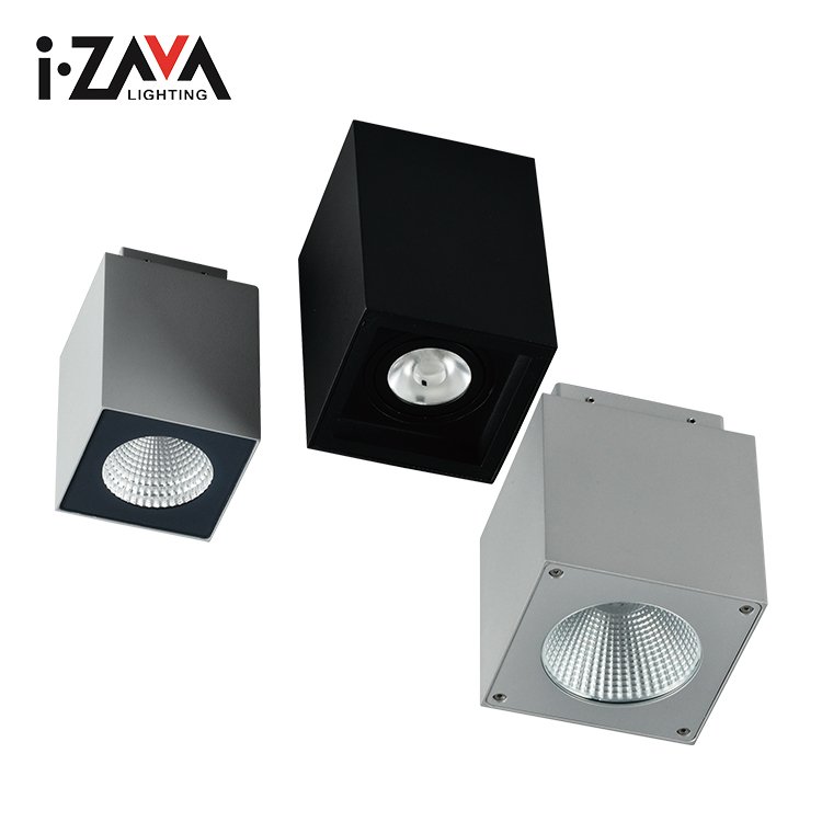 Factory Wholesale Aluminum IP65 Waterproof 14W Indoor Outdoor Ceiling Mounted LED Down Lamp