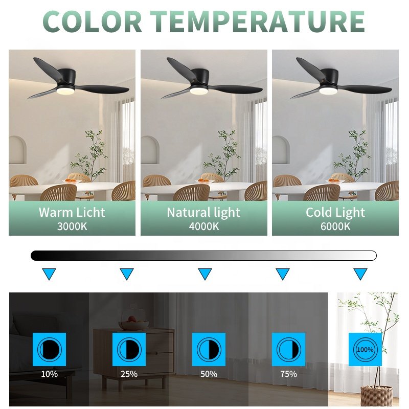 3 ABS Blades Light Weight Smart Control 6 Wind Speed Noiseless Reversible Motor Low Profile Modern Ceiling Fan