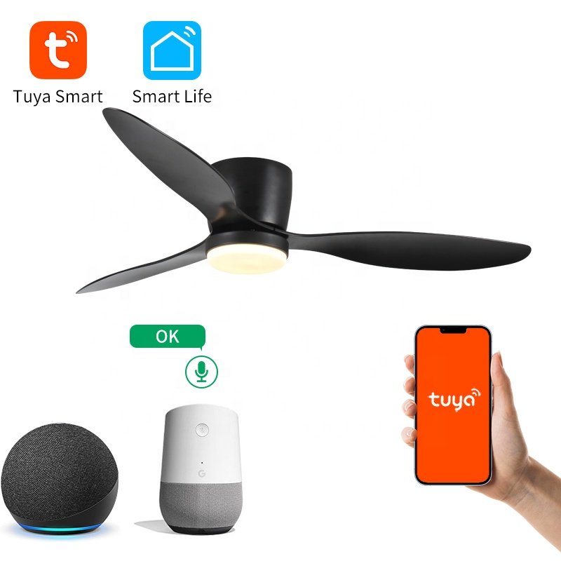 3 ABS Blades Light Weight Smart Control 6 Wind Speed Noiseless Reversible Motor Low Profile Modern Ceiling Fan